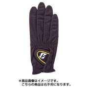 GLG43JBK ツアーグローブ AL [メンズ 右用 ブラック 24cm]