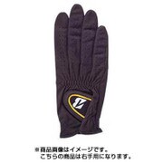 GLG43JBK ツアーグローブ AL [メンズ 右用 ブラック 26cm]