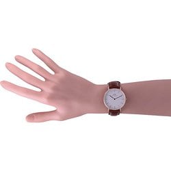 ヨドバシ.com - ダニエルウェリントン Daniel Wellington DW00100035