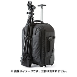 プロランナーRL x450AW II Lowepro ロープロ ヨドバシ.com - Lowepro ロープロ プロランナー BP 450 AW 2
