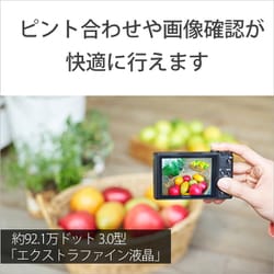 ヨドバシ.com - ソニー SONY DSC-WX500 BC [コンパクトデジタルカメラ