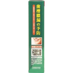 ヨドバシ.com - 三和通商 薬用 くま笹すっきり 歯磨き粉 歯槽膿漏予防