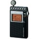 片耳巻取り FM/AM シンセサイザーラジオ 名刺サイズ ワイドFM対応 ICF-R354M C