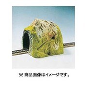 02120 [NOCH 単線トンネル 登山道]