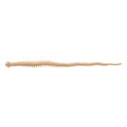 Gulp！ SW Sandworm 4inch（ガルプ！ソルトウォーター サンドワーム 4インチ） イソメタイプ細身 NAT（ジャリメ） [ガルプ！SWサンドワーム4インチ細身ミニジャリメ ナチュラル]