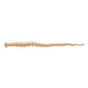 Gulp！ SW Sandworm 4inch（ガルプ！ソルトウォーター サンドワーム 4インチ） イソメタイプ太身 NAT（ジャリメ） [ガルプ！SWサンドワーム4インチ太身ミニジャリメ ナチュラル]