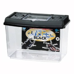飼育ケース プラケースワイドビューBL 大 PW-04BL