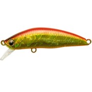 シュマリ50FS 173 HGアカキンオレンジベリー [ミノー（ナチュラルウォーター用）]