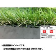 ハイグレード人工芝 LEGEND(レジェンド) 2m×5m 芝丈20mm (防炎) N-LD20-0205