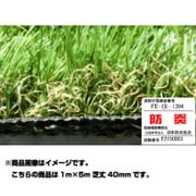 ハイグレード人工芝 LEGEND(レジェンド) 1m×5m 芝丈40mm (防炎) N-LD40-0105