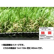 ハイグレード人工芝 LEGEND(レジェンド) 1m×10m 芝丈40mm (防炎) N-LD40-0110