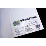 伊勢和紙Photo 平織目 A2 10枚 hy270A2
