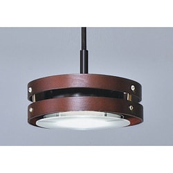 LEDペンダントライト 黒色 V4-BK