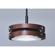 LEDペンダントライト 黒色 V4-BK