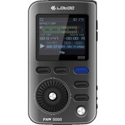 ハイレゾ対応 デジタルオーディオプレーヤー PAW5000