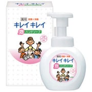 キレイキレイ 薬用泡ハンドソープ 250ml [ギフトボックス]
