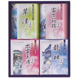 TML-10 [薬用入浴剤 名湯綴 ギフトセット]