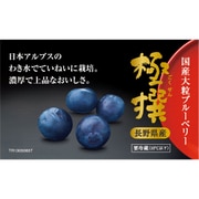 長野県産 極撰 国産大粒ブルーベリー