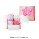 OMB-06 [プチそーぷぎふと 乙女箱 いちごの石けん 27g×1 うさぎの石けん 50g×1 和はんかち×1枚]