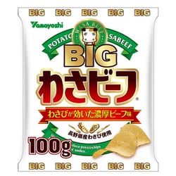ヨドバシ.com - 山芳製菓 ポテトチップス BIGわさビーフ 100g 通販 