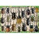26-231 [ピクチュアパズル 世界のクワガタ・カブトムシ 32ピース 対象年齢：4歳～]