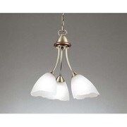 LEDシャンデリア 22.5W(7.5W×3灯) 非調光 昼白色 OC006366ND1