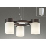 LEDシャンデリア 22.5W(7.5W×3灯) 非調光 電球色 OC257071LD