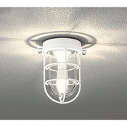 LED ブラケットライト 4.8W 防雨・防湿型 非調光 電球色タイプ オフホワイト色 OG254607LD