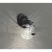 LED ポーチライト 4.8W 防雨型 電球色タイプ 黒色 OG254626LD