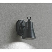 LED ポーチライト 5.8W 防雨型 昼白色タイプ 黒色 OG254628ND