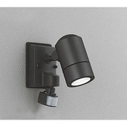 フラッシュ機能付 防雨型 LEDエクステリアスポットライト 6W 昼白色タイプ 黒色サテン OG254639ND