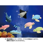 シーアニマル消しゴム ER-SEE002