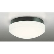 LED 業務用バスルームライト 16.2W 防雨・防湿型 非調光 電球色タイプ 黒色 OW269016LD