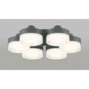 シーリングファン用灯具 40.8W(6.8W×6灯) ～8畳 電球色タイプ WF269LC