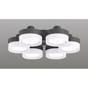 シーリングファン用灯具 40.8W(6.8W×6灯) ～8畳 昼白色タイプ WF269NC