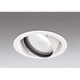 LED ユニバーサルダウンライト 高彩色 電源装置・調光器・信号線別売 白色タイプ オフホワイト XD401245H