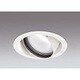 LED ユニバーサルダウンライト スプレッド配光 高彩色 電源装置・調光器・信号線別売 白色タイプ オフホワイト XD401251H