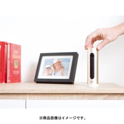 ネタトモ 顔認証システム付ホームカメラNET-OT-000007c 61EnaGeGYoL._UF350,350_QL80_.jpg