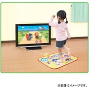 対象年齢:1歳半~ 1歳半からの体幹☆脳力トレーニング みんなで!育脳マット