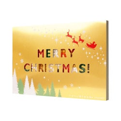 nanoblock NP060 postcard Merry Christmas