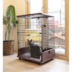 Petio necoco キャットルームサークル necoco ネココ 仔猫からのしつけにもぴったりな キャットルーム