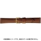 BCA024CP [時計バンド ピュア・クリーン（空気触媒） 18mm 茶]