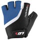 1481139L006 [BIOGEL RX-V GLOVE L ROYAL]