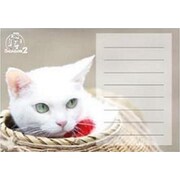 猫侍 メモパッド