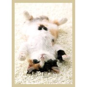 キャラクタースリーブコレクション 三毛猫 [60枚入]