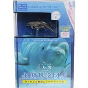 ZH-FZN-0101 [生態科学図鑑 vol.1イルカ/海洋生物]