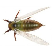 生蝉 TTB ツクツクボウシ 4.5g [超リアルプラグ 42mm]
