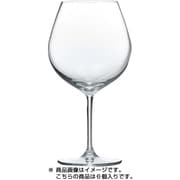 PALLONE パローネブルゴーニュ 725ml 6個セット RN-10285CS