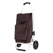 HAP4004 [ショッピングカート 30L ブラウン]