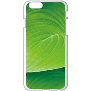 PAC00359 [iPhone 6/6s専用 ケース 葉]